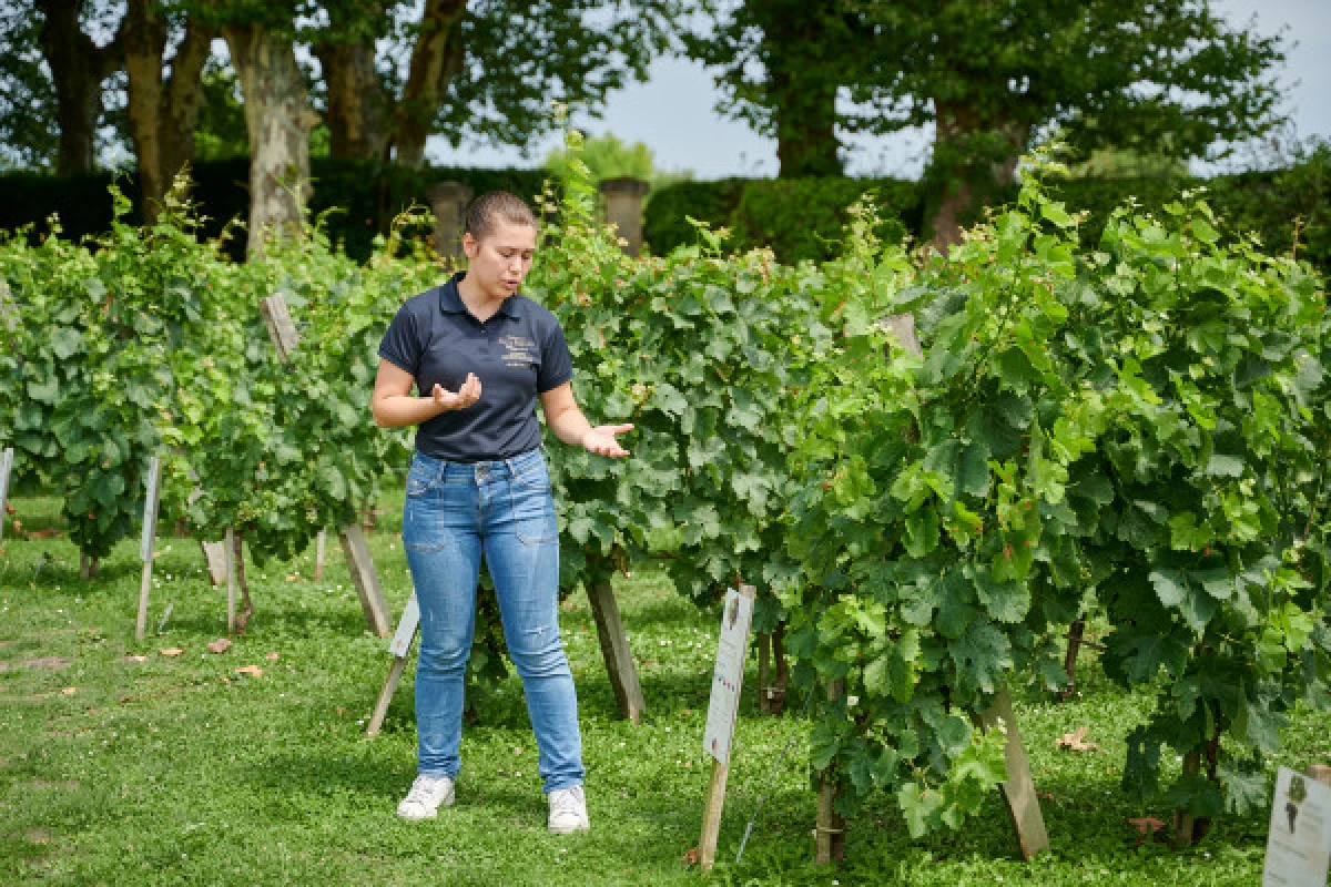 Visite du domaine et dégustation de 3 appellations - Bonjour Fun