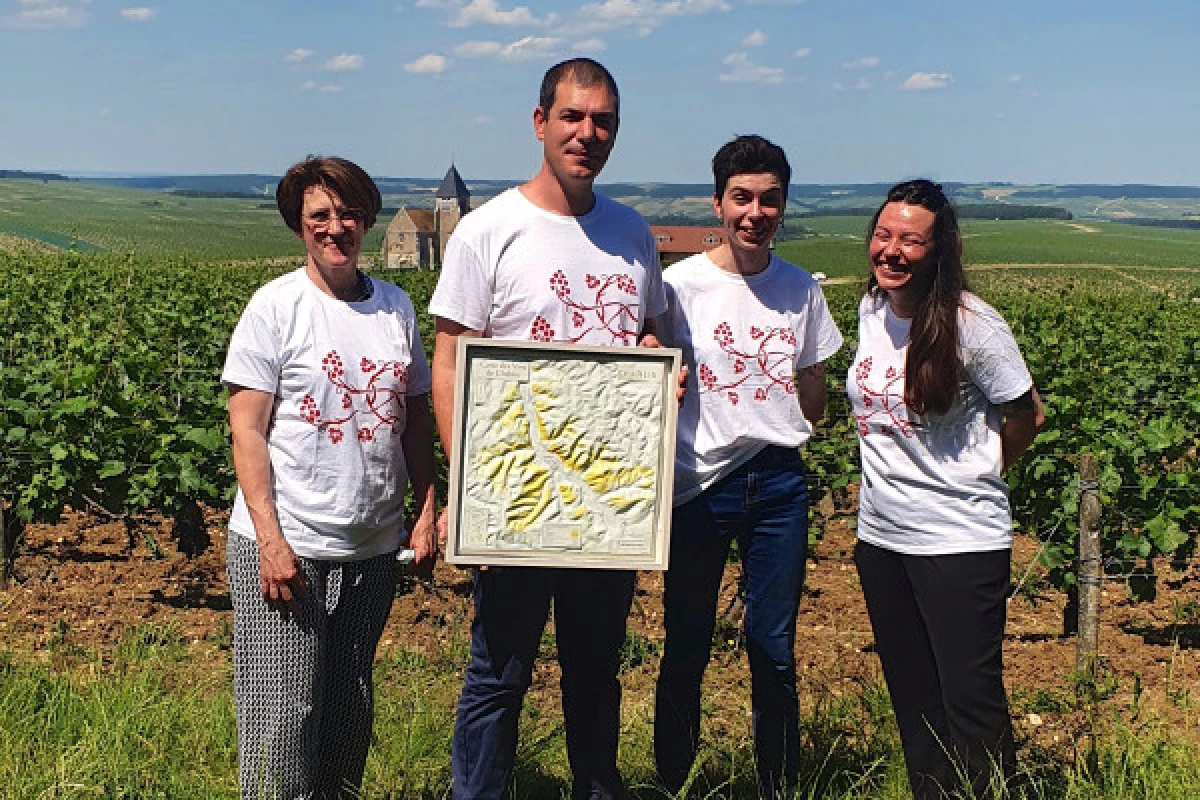 Visite et dégustation Chablis au Domaine Clotilde Davenne en français - Bonjour Fun