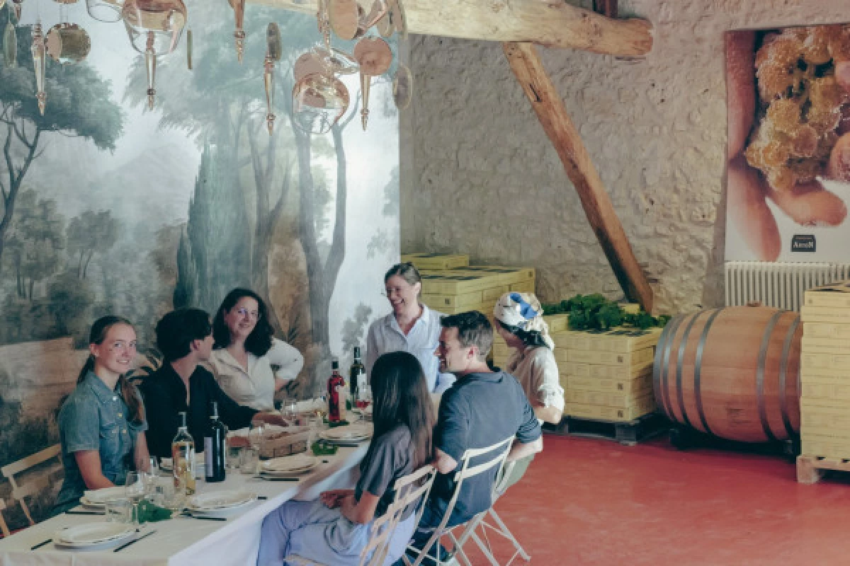 VISITE ET DÉGUSTATION VINS - Bonjour Fun