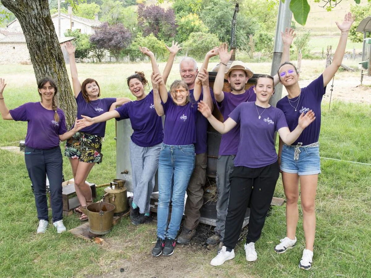 Visite guidée gratuite : découverte de la vie d'une lavande - Bonjour Fun