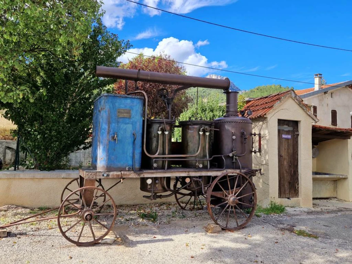 Visite gratuite de la distillerie - Bonjour Fun