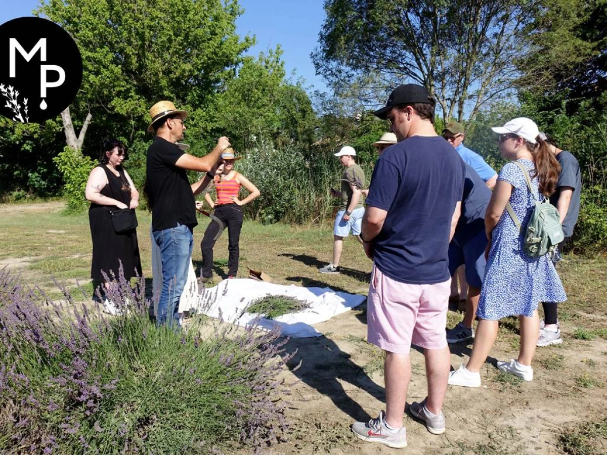 Visite Guidée de la Plante au Parfum - Bonjour Fun