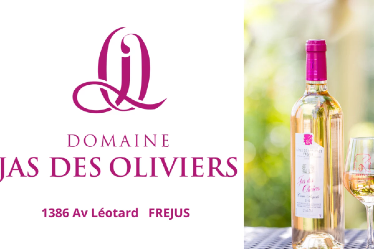 Visite guidée du domaine - Jas des Oliviers - Bonjour Fun