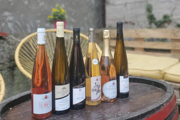 Visite guidée du domaine viticole en Alsace - Bonjour Fun