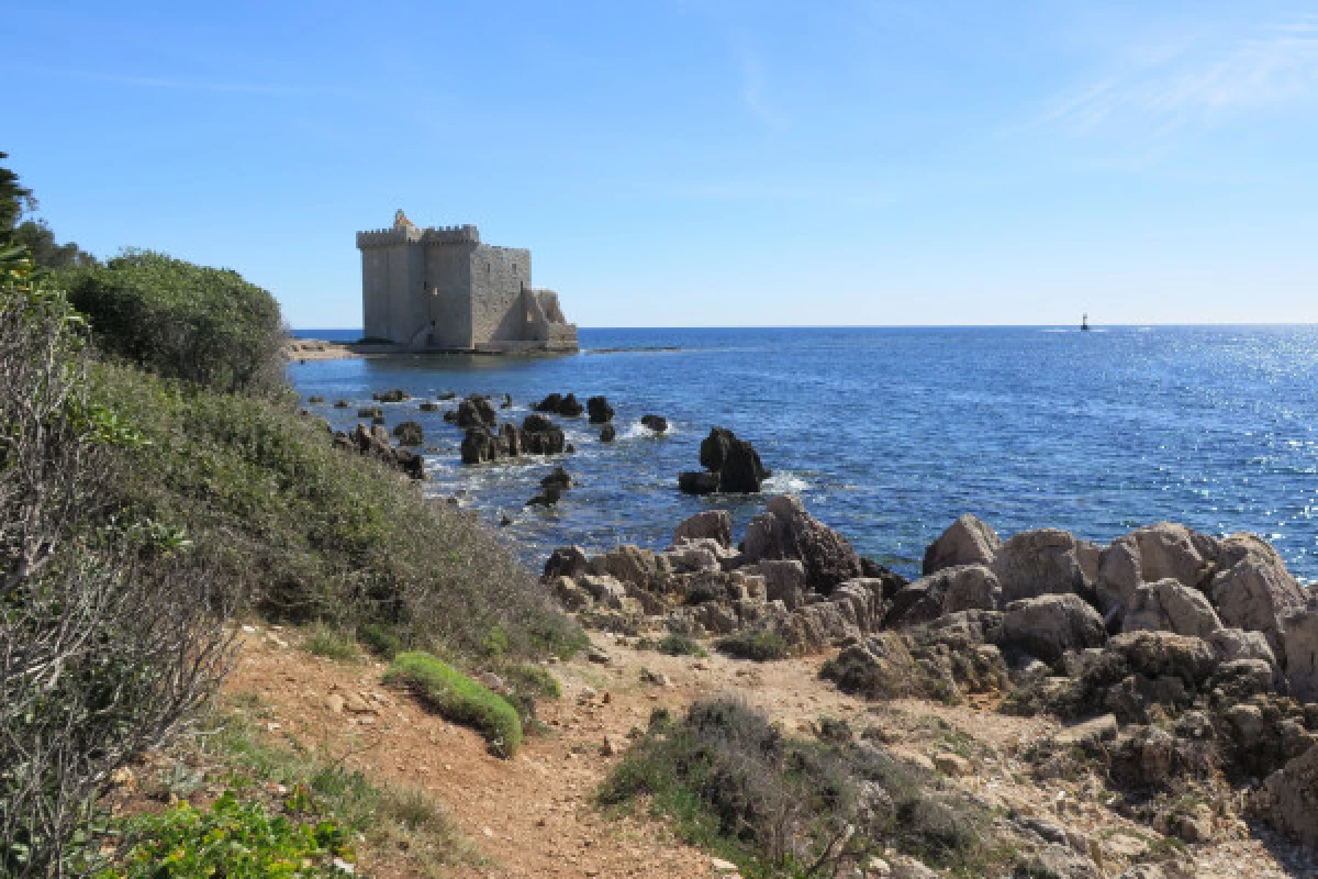 Visite guidée Île Saint Honorat - Cannes - Bonjour Fun