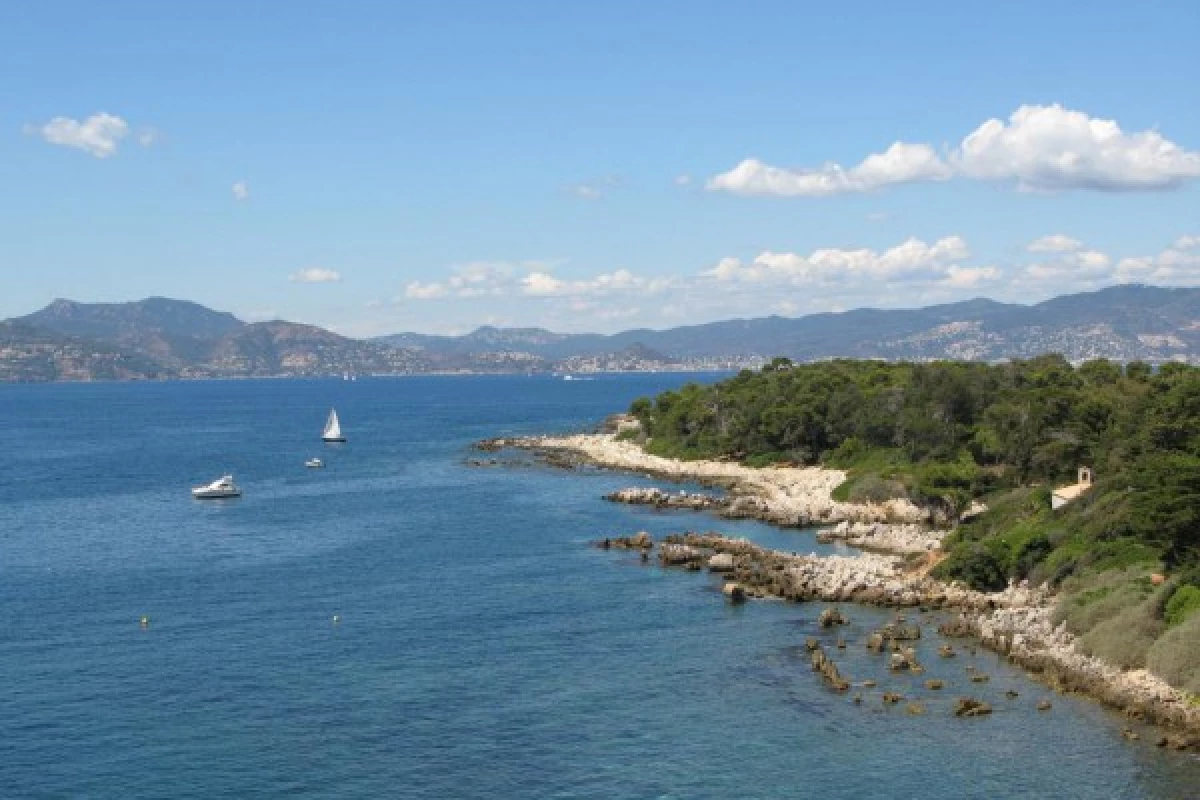 Visite guidée Île Saint Honorat - Cannes - Bonjour Fun