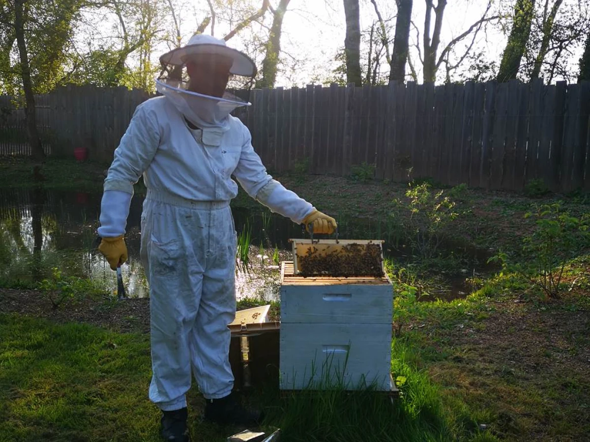 Visite Guidée Miel et les abeilles - ADULTE - Bonjour Fun