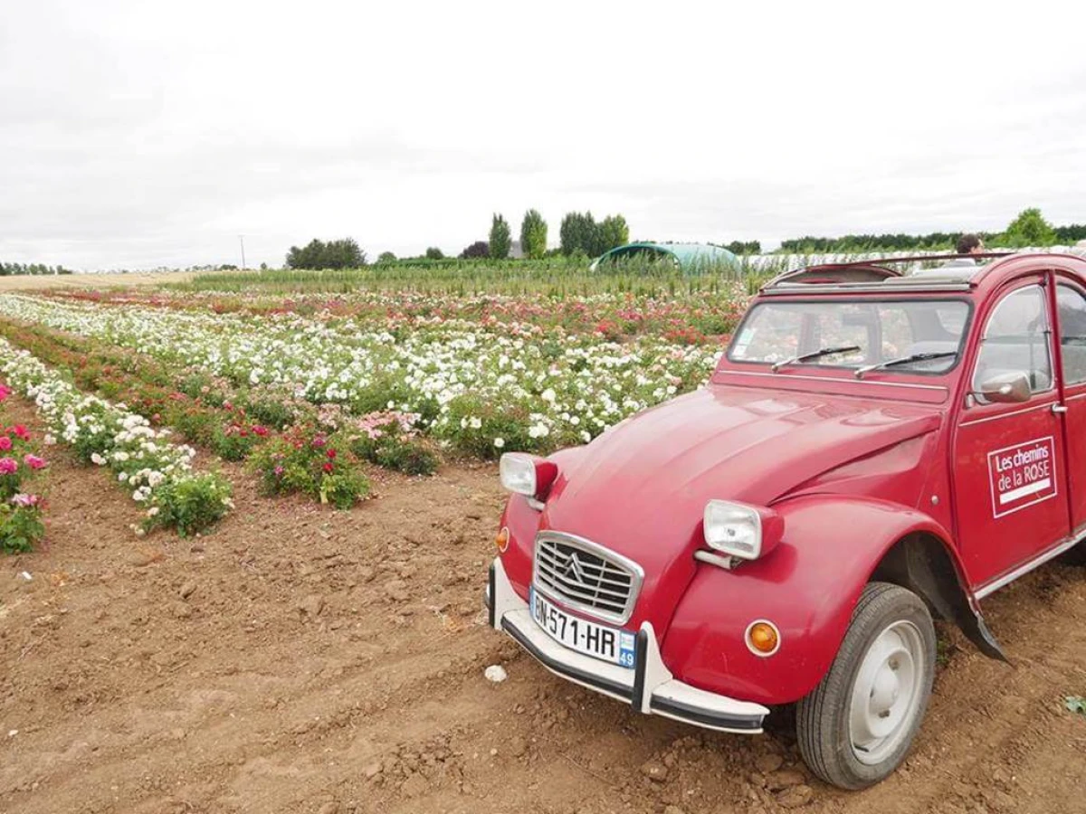 VISITE INSOLITE EN 2CV - Bonjour Fun