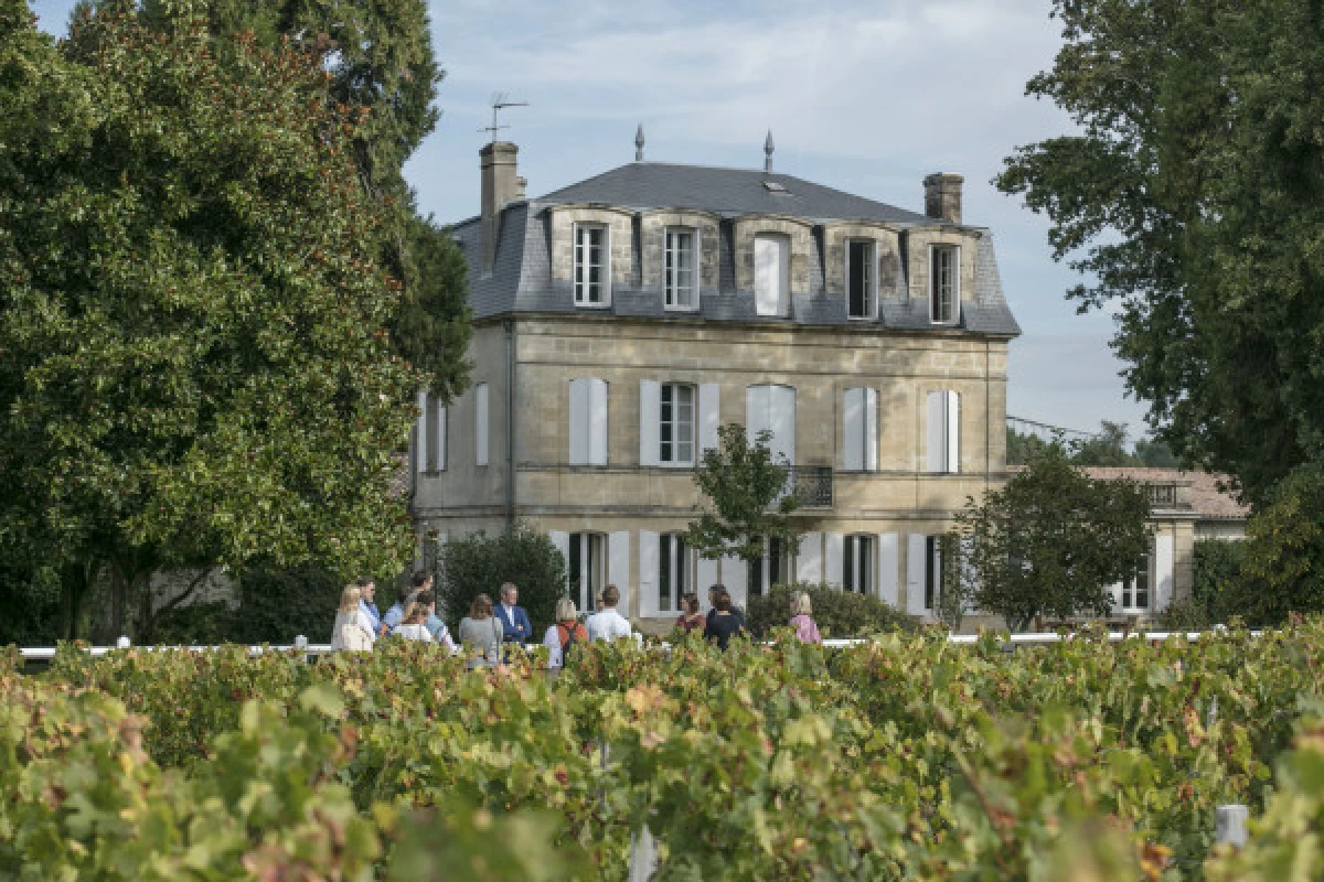 Visite Terroirs 4 vins - Bonjour Fun