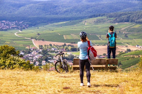 Visite audio-guidée du vignoble en VTT à assistance électrique. - Bonjour Fun