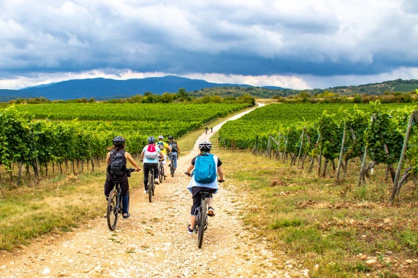 Visite audio-guidée du vignoble en VTT à assistance électrique. - Bonjour Fun