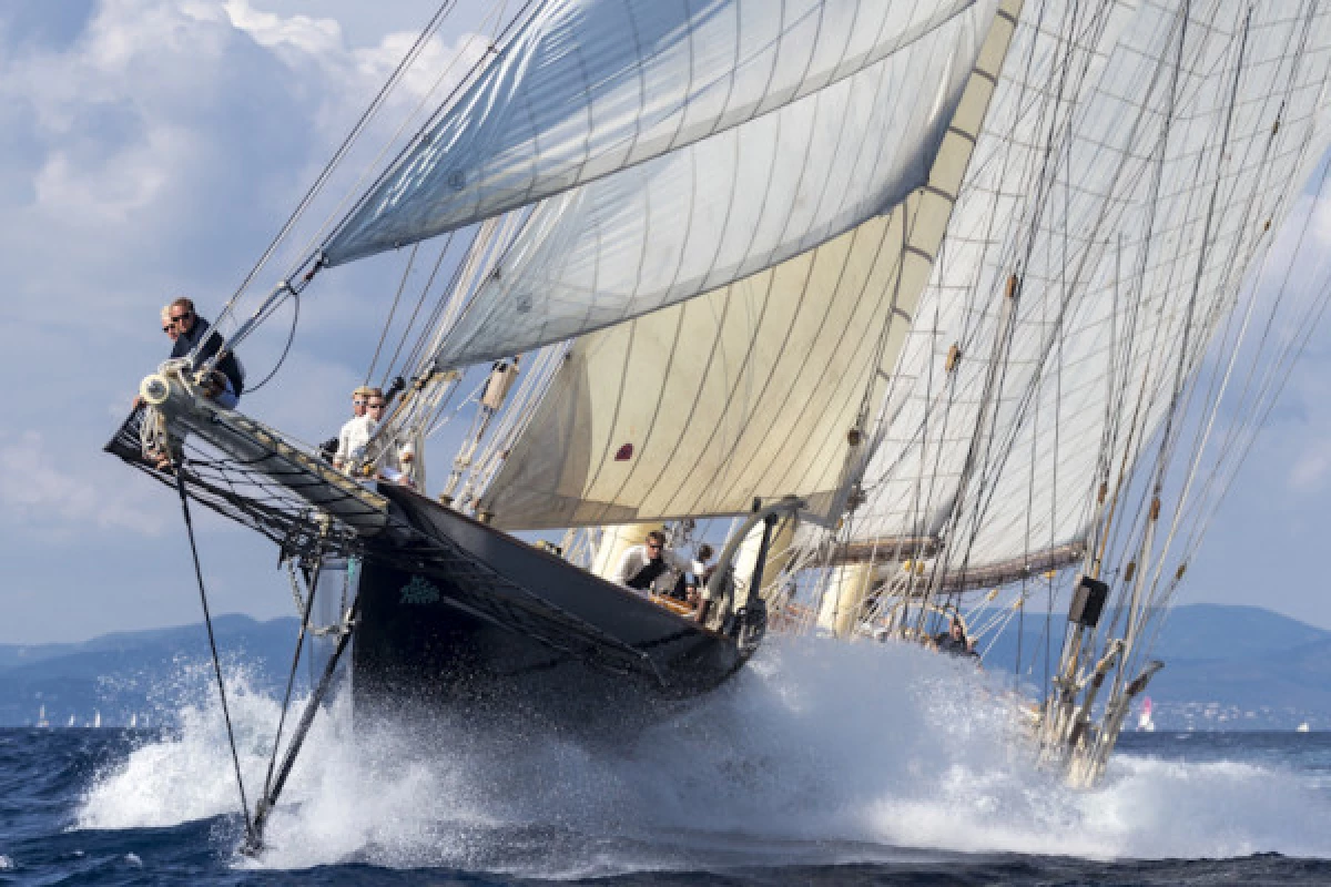 Voiles de St-Tropez - Bonjour Fun