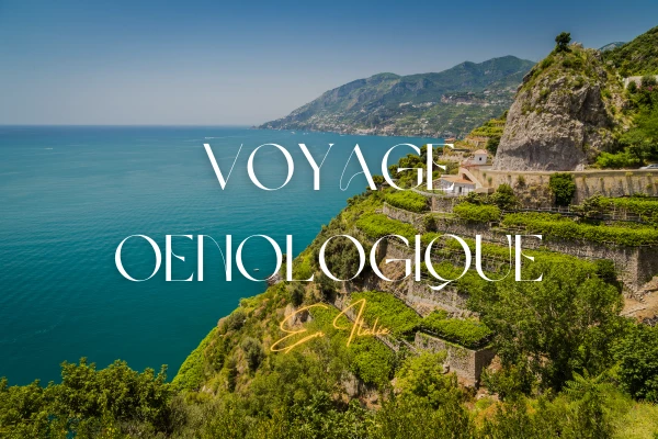 Voyage Œnologique en Italie : Atelier Vins Italiens - Bonjour Fun