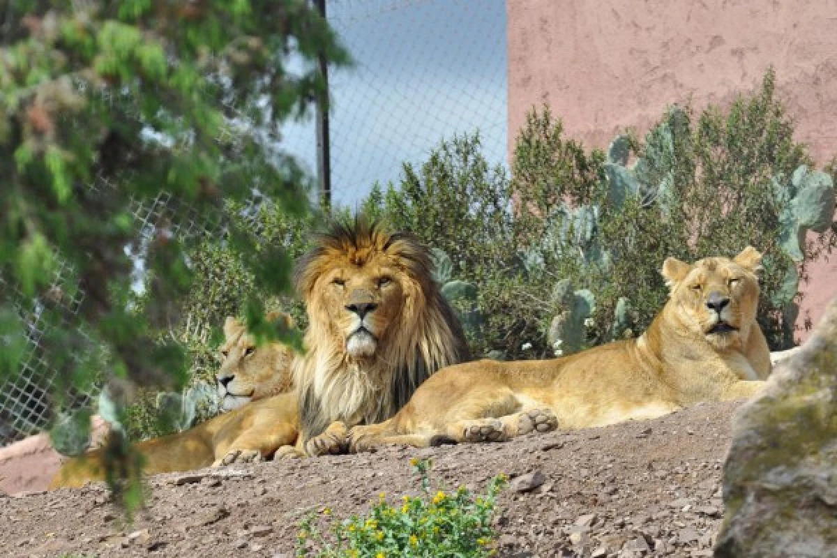 ZOO FREJUS - Bonjour Fun