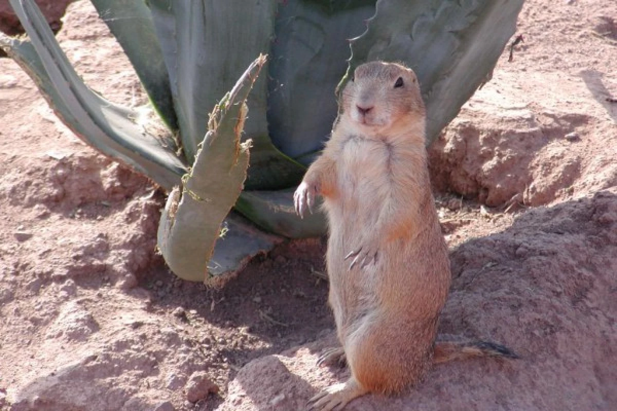 ZOO FREJUS - Bonjour Fun